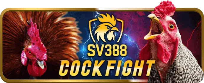 Hình ảnh hỗ trợ giải đáp thắc mắc về khuyến mãi 33win7